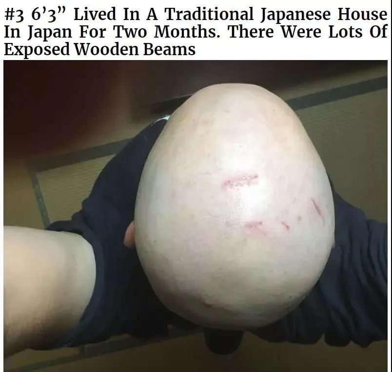 嚴海赴日工作