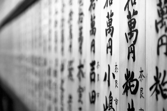 嚴(yán)海赴日工作