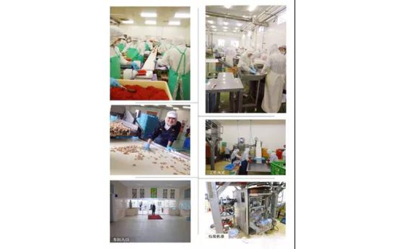 最優質三重縣松下子公司～旭電器（株）電子組裝項目招募開啟！