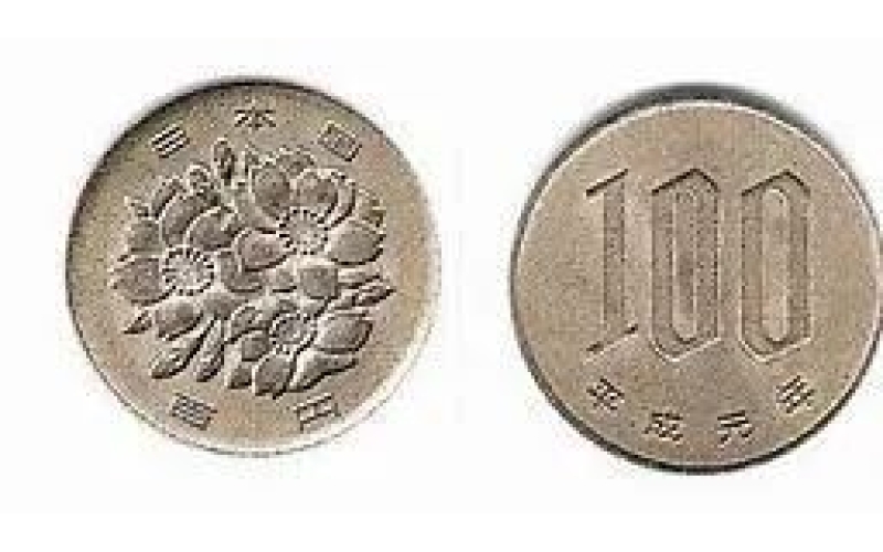 100日元在日本能買到什么