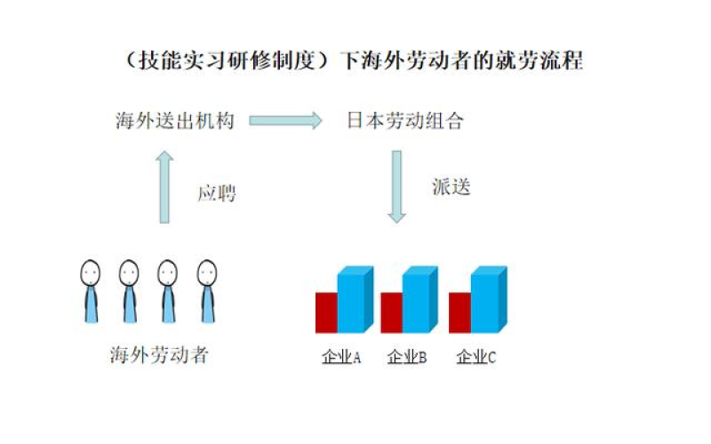 日本研修生和研究生的區別！一字之差，天壤之別