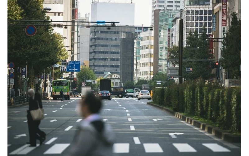 日本的大學分類（日本大學的組成種類）