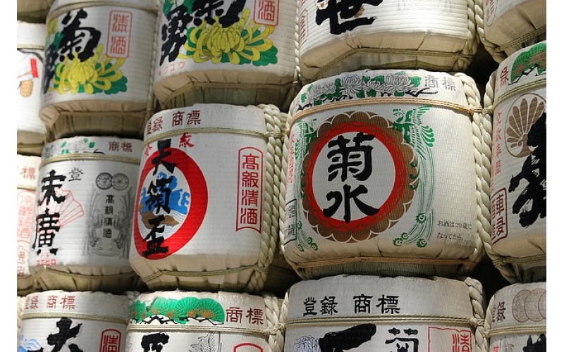 哪些人適合學日語？